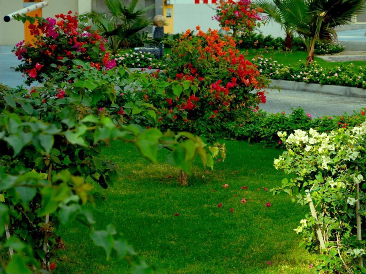 Home To Home Apartments Дубай Екстериор снимка